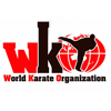 WKO Kyokushin